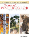Cover image for Secrets of Watercolor: From Basics to Special Effects